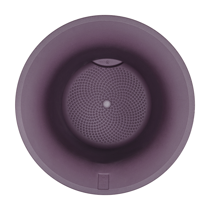 june tulip 40cm vintage prune